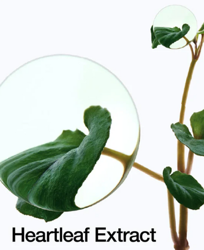 Heartleaf Hudpleieampulle
